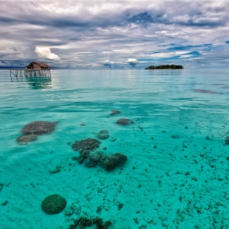 the-shallow-sea-2265829