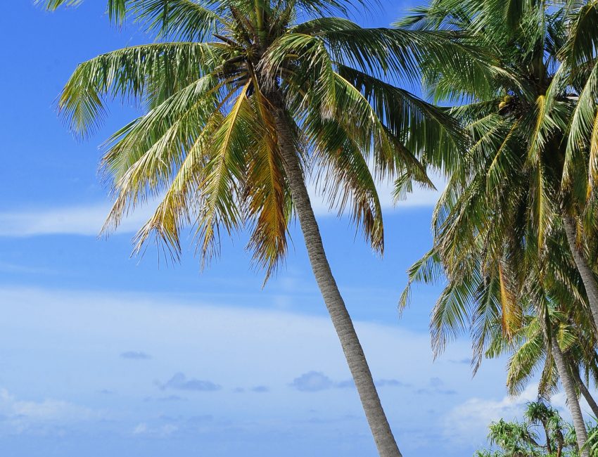 atoll-2178747