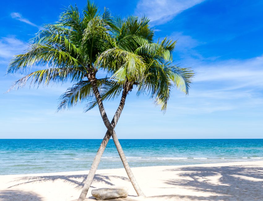 caribbean-1822544
