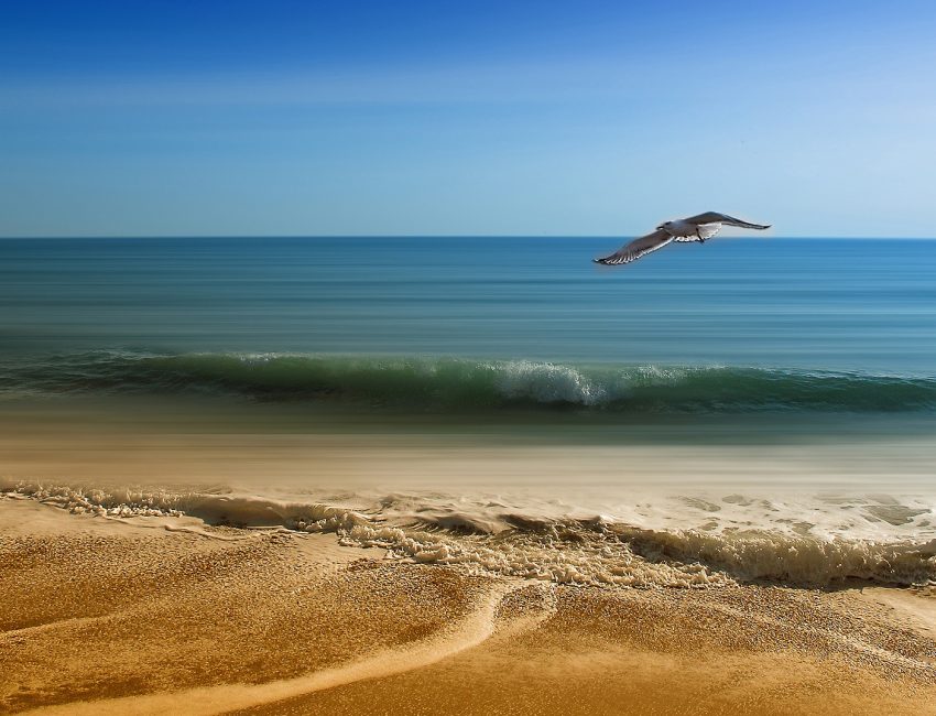 sea-3232350_1920