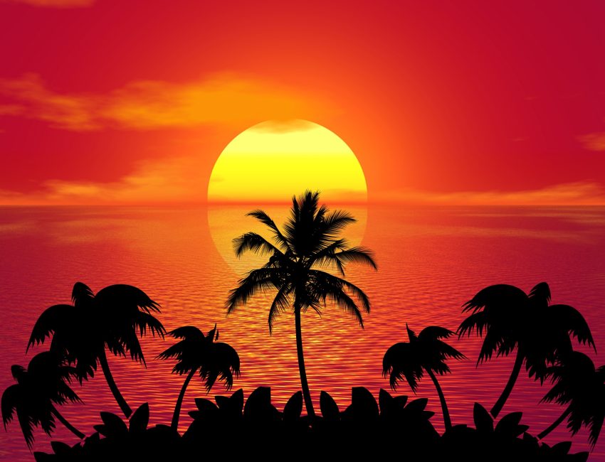 tropical-1651426