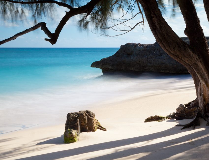 tropical-84537